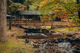 Covered bridge over creek during autumn, Fall foliage season at Vogel state park in Georgia mountains