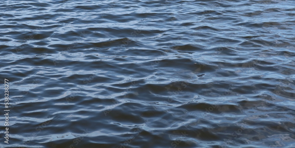 Dark blue water panorama background with soft waves on Florida river Dark blue water panorama background with soft waves on Florida river