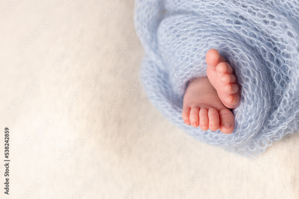 Newborn baby feet on an oatmeal background wrapped in a knitted blanket Newborn baby feet on an oatmeal background wrapped in a knitted blanket