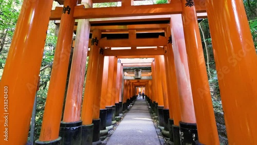 京都　千本鳥居