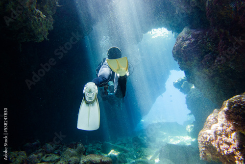 I went scuba diving in the Kerama Islands in Okinawa.