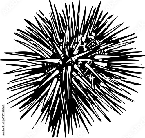 black and white star shaped ornament