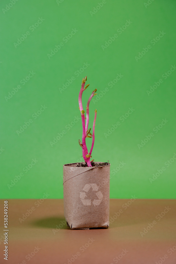 Concepto Reciclaje Medioambiente Sostenible Reutilizaci n concepto-reciclaje-medioambiente-sostenible-reutilizaci-n