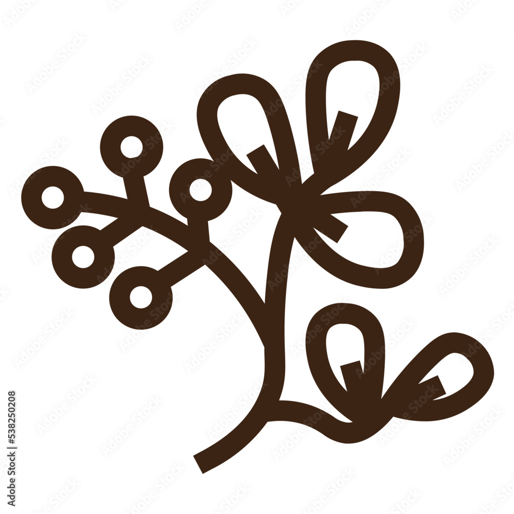 Obraz premium barberry food herb vegetable outline icon