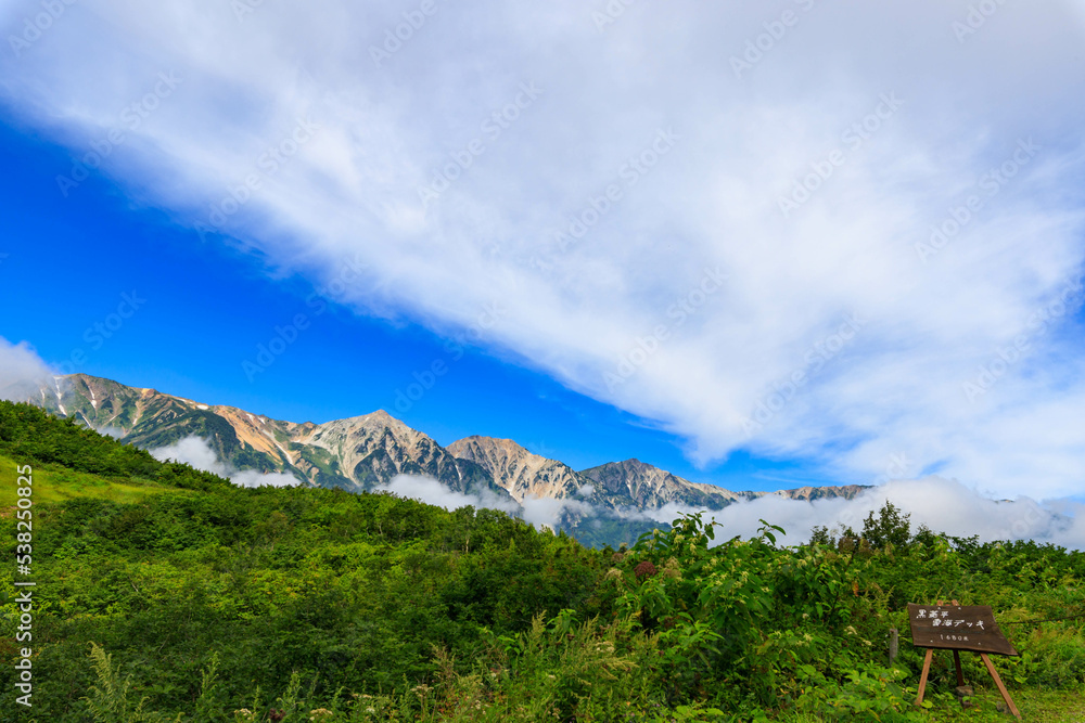 Obraz premium 黒菱平から望む白馬三山