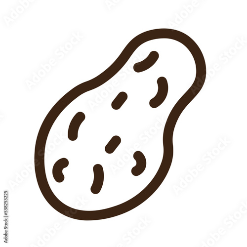bitter gourd bitter melon diet food vegetable outline icon
