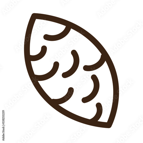 bitter gourd bitter melon food karela vegetable outline icon