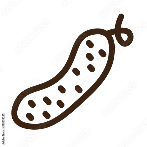 bitter gourd bitter melon food karela vegetable outline icon
