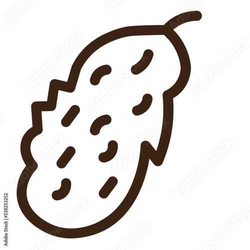 bitter gourd food vegetable outline icon