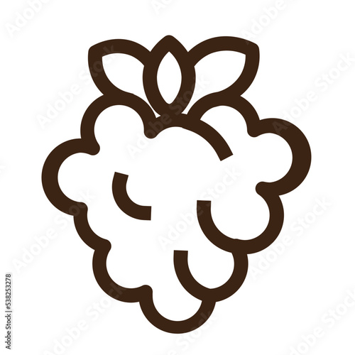 mulberry raspberry salmonberry tayberry outline icon