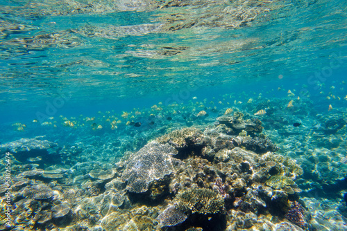 Snorkeling at the Kerama Islands in Okinawa.