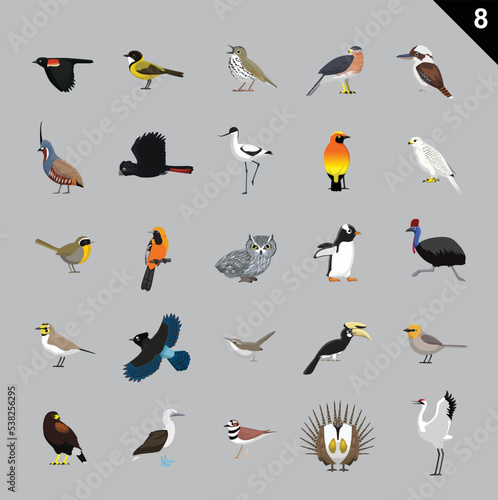 Various Birds Cartoon Vector Illustration 8