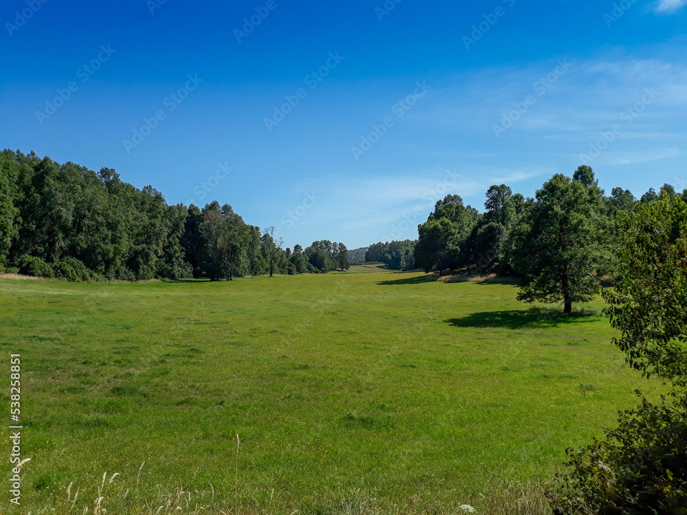 Lush Green Valley in the Araucanía Region of Chile Lush Green Valley in the Araucanía Region of Chile