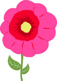 Mugunghwa Rose of Sharon  flower4