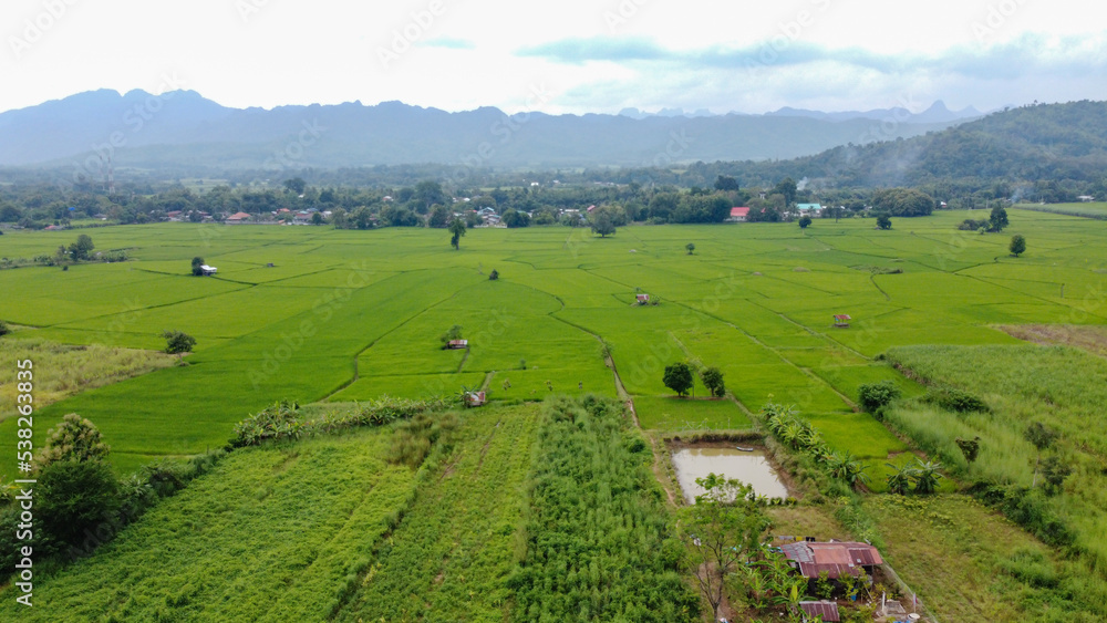 Rice Terrace Aerial Shot. Image of beautiful terrace rice field in Chiang Mai Thailand . Top view landscape.