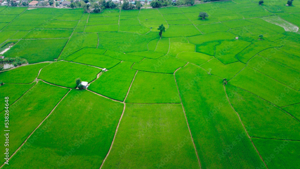 Rice Terrace Aerial Shot. Image of beautiful terrace rice field in Chiang Mai Thailand . Top view landscape.