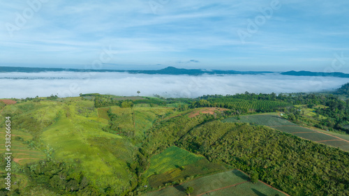 Mountains in fog at beautiful autumn in Phetchabun Thailand. Fog mountain valley, low clouds, forest, colorful sky with.  pine trees in spruce foggy forest with bright sunrise © Yellow Boat