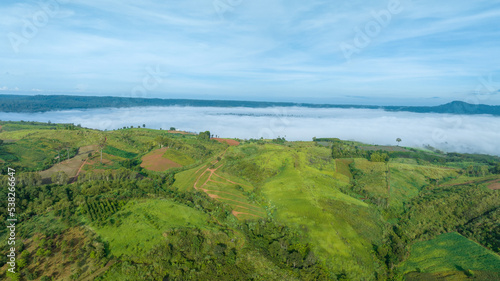 Mountains in fog at beautiful autumn in Phetchabun Thailand. Fog mountain valley, low clouds, forest, colorful sky with.  pine trees in spruce foggy forest with bright sunrise © Yellow Boat
