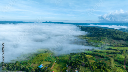 Mountains in fog at beautiful autumn in Phetchabun Thailand. Fog mountain valley, low clouds, forest, colorful sky with. pine trees in spruce foggy forest with bright sunrise