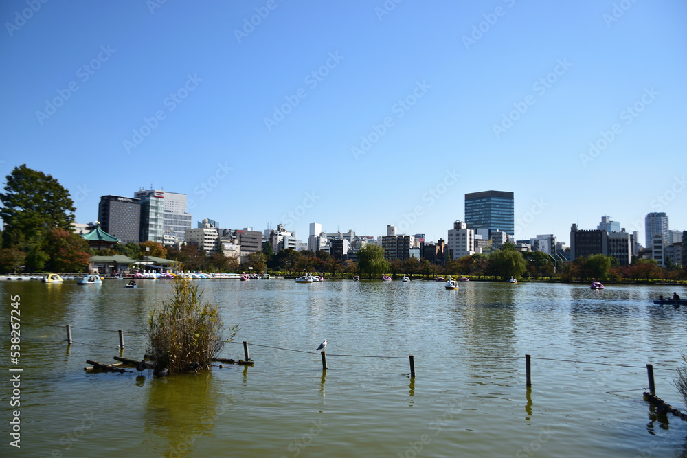 上野恩賜公園の不忍池