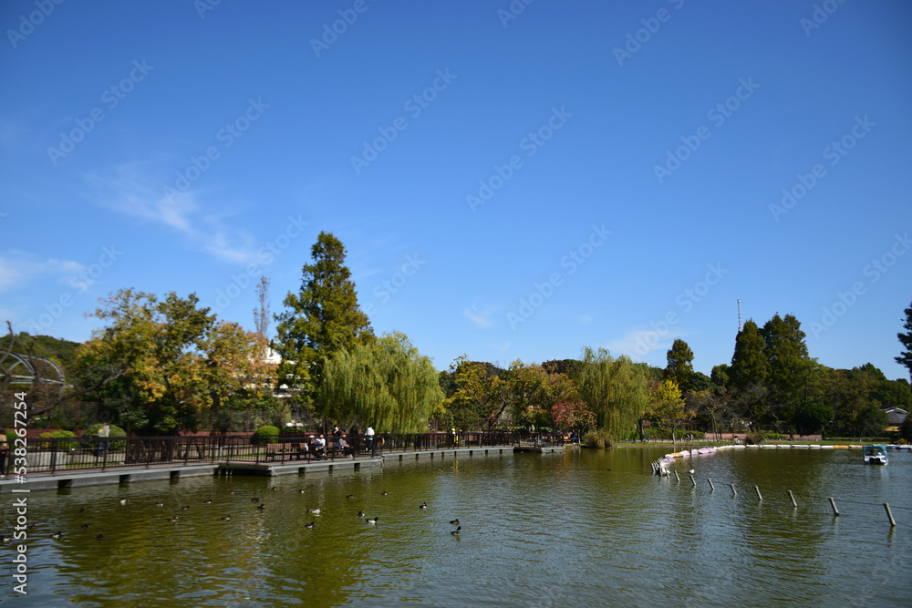 上野恩賜公園の不忍池