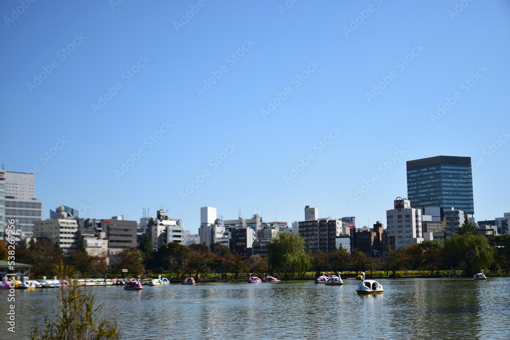 Fototapeta premium 上野恩賜公園の不忍池