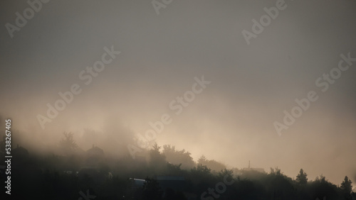 morning landscape fog over the forest