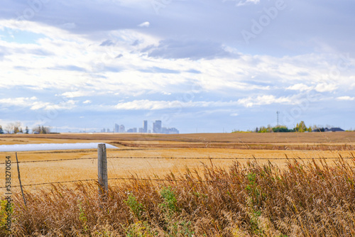 Farm fields with Calgary alberta skyline in the distance