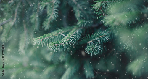 Blue Spruce Branch And Snow Flakes. Background Of Christmas Holidays. The concept of Christmas