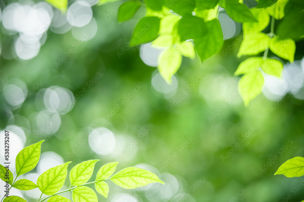 Gorgeous nature view of green leaf on blurred greenery background in garden. Natural green leaves plants used as spring background cover page greenery environment ecology lime green wallpaper Gorgeous nature view of green leaf on blurred greenery background in garden. Natural green leaves plants used as spring background cover page greenery environment ecology lime green wallpaper