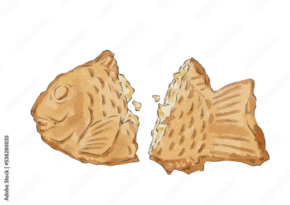 半分に割ったカスタード入りのたい焼きのイラスト(水彩風) 半分に割ったカスタード入りのたい焼きのイラスト(水彩風)
