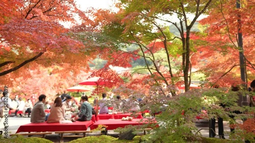 京都　永観堂の紅葉