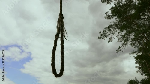 Rope on a tree branch. A noose on a tree. Depression and hopelessness
