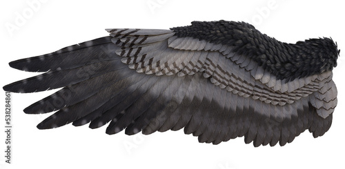 3D Rendered Fantasy Bird Wings Isolated On Transparent Background - 3D Illustration
