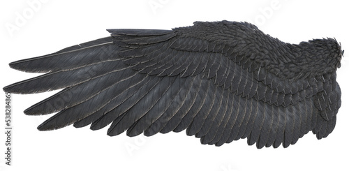 3D Rendered Fantasy Bird Wings Isolated On Transparent Background - 3D Illustration