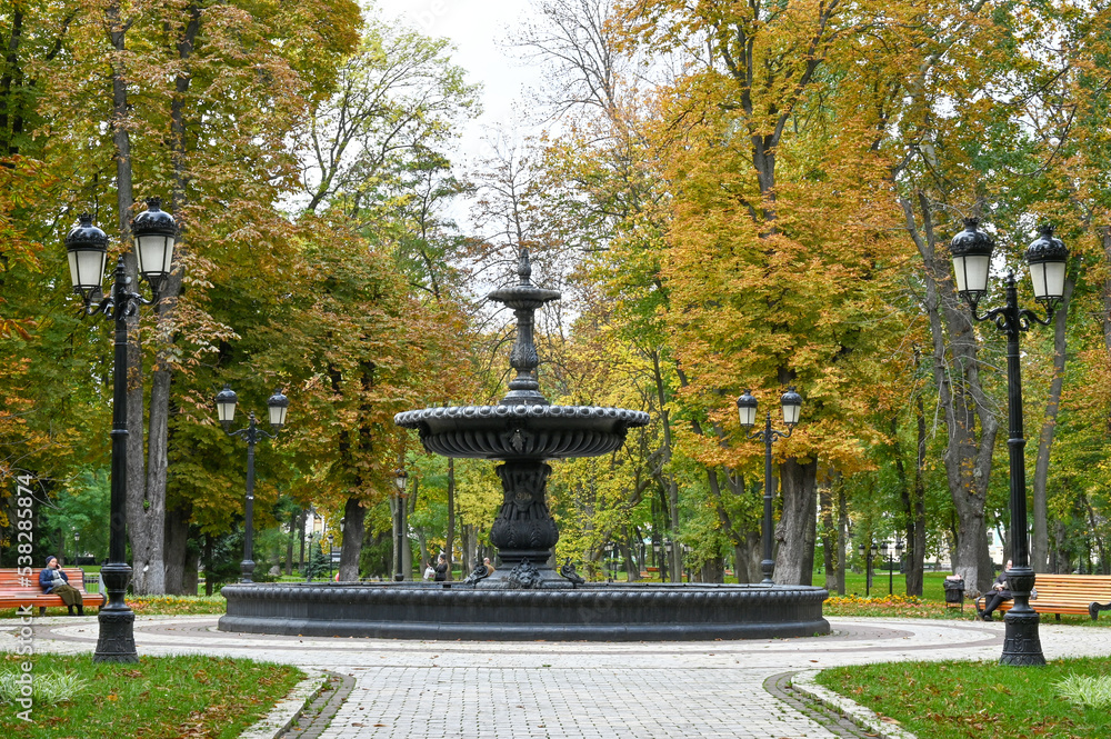 Fototapeta premium Fountain in the park in the city of Kyiv