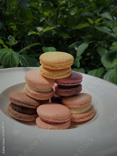 French macaron is a sweet meringue-based confection made with egg white, icing sugar, granulated sugar, almond meal, and food colouring.