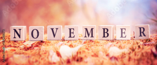 Fotografia The month of November is a word made of cubes in the forest on an autumn backgro