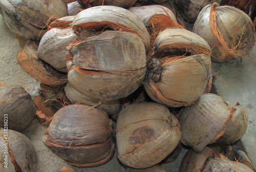 Coconut shell for nature fuel