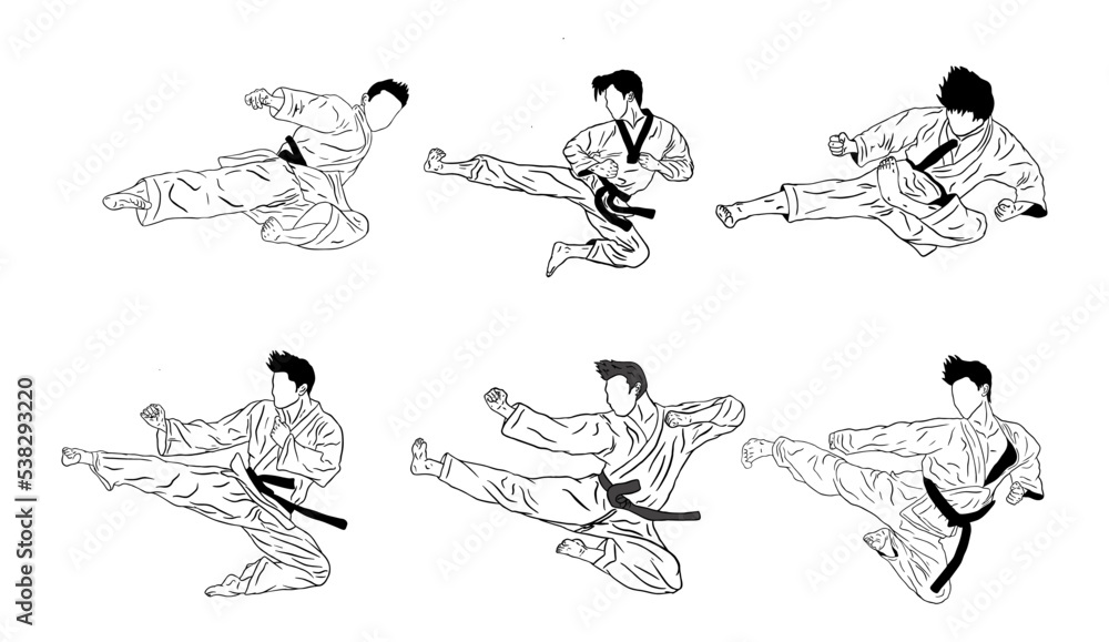 Obraz premium karate vector logo icon
