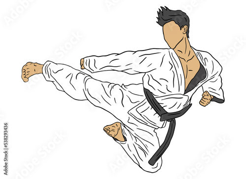 karate vector logo icon
