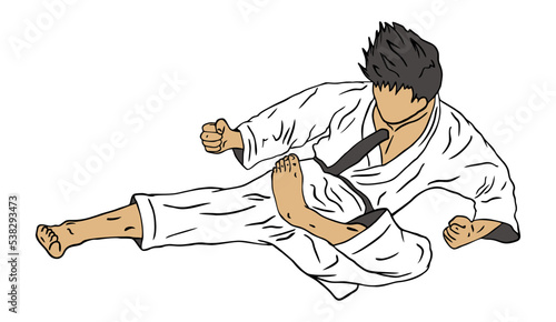 karate vector logo icon