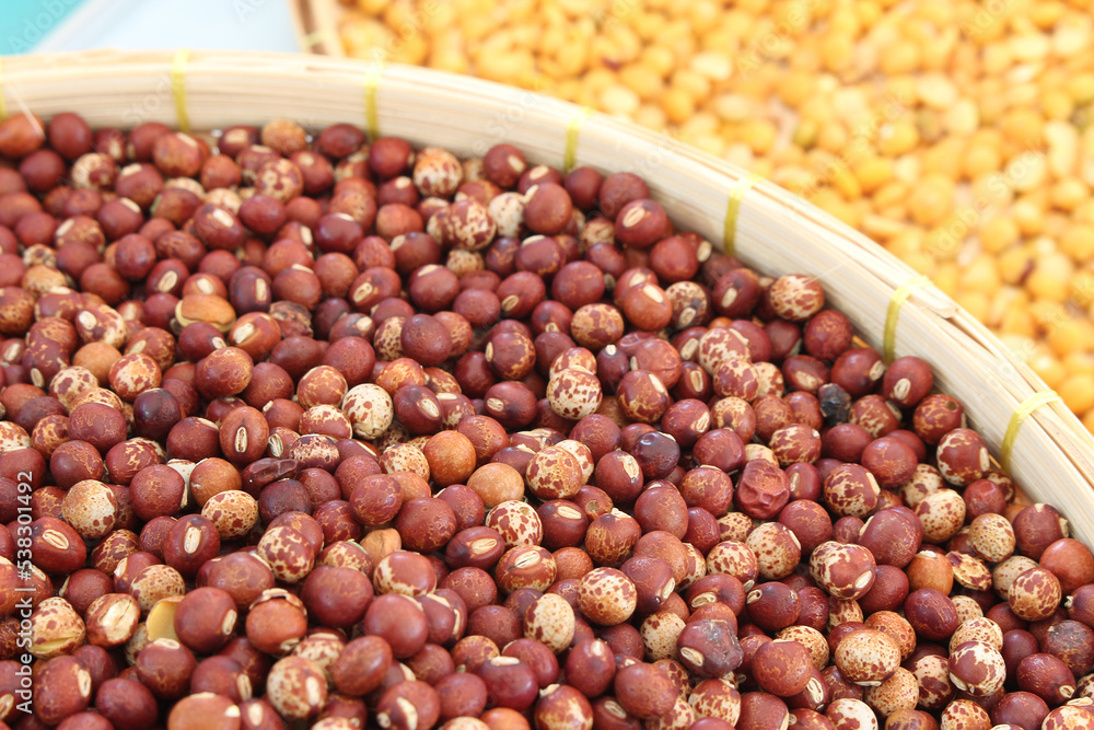 a lot of pigeon pea for background