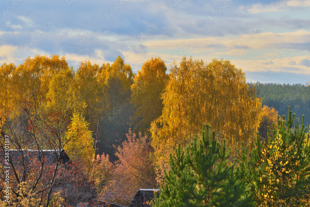 The outskirts of a rural settlement on an autumn day