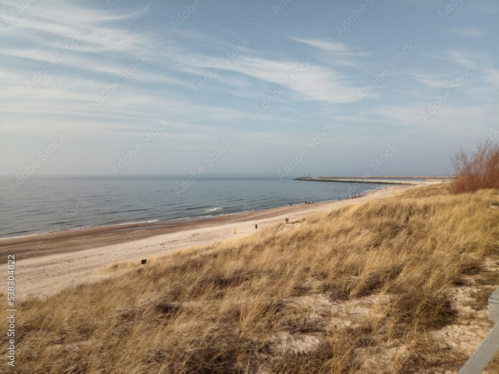 krajobraz brzegu morza, plaża, roslinność krajobraz brzegu morza, plaża, roslinność