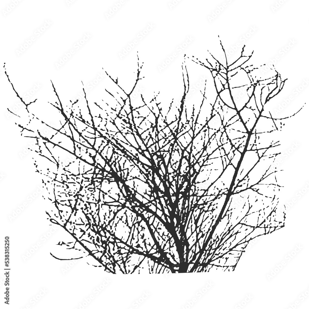 Realistic branches a silhouette of bare dry twigs,bushes and withering autumn nature.