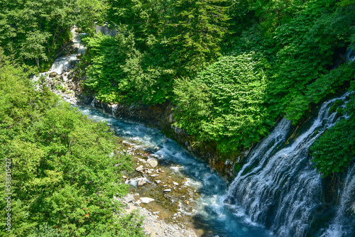 日本北海道の美瑛にある青い川の美しい風景