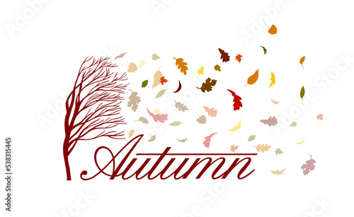 Autumn. Leaves fall off the tree. Sale Background Decorated with leaves for Sale Banner. Vector illustration