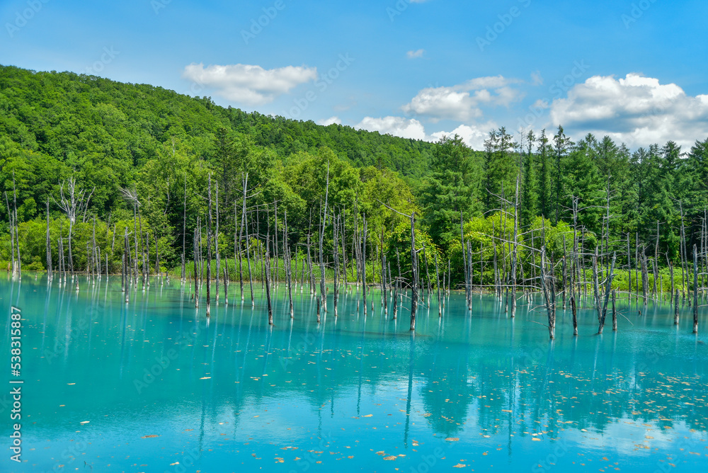 日本の北海道にある美瑛青い池の美しい風景