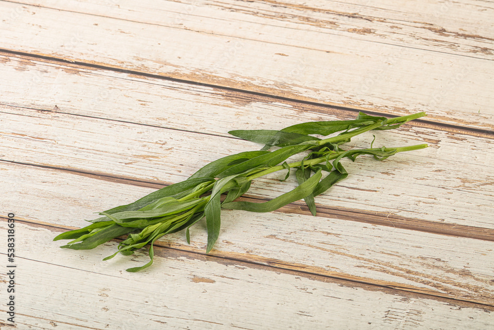Green tarragon herb spice for cooking Green tarragon herb spice for cooking